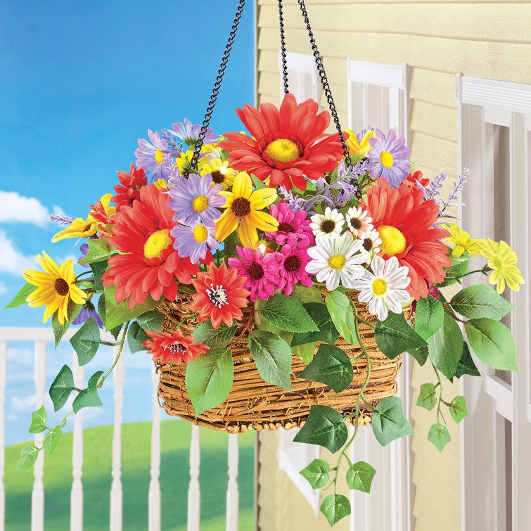 Primrue Mixed Daisy Hanging Basket & Reviews Wayfair